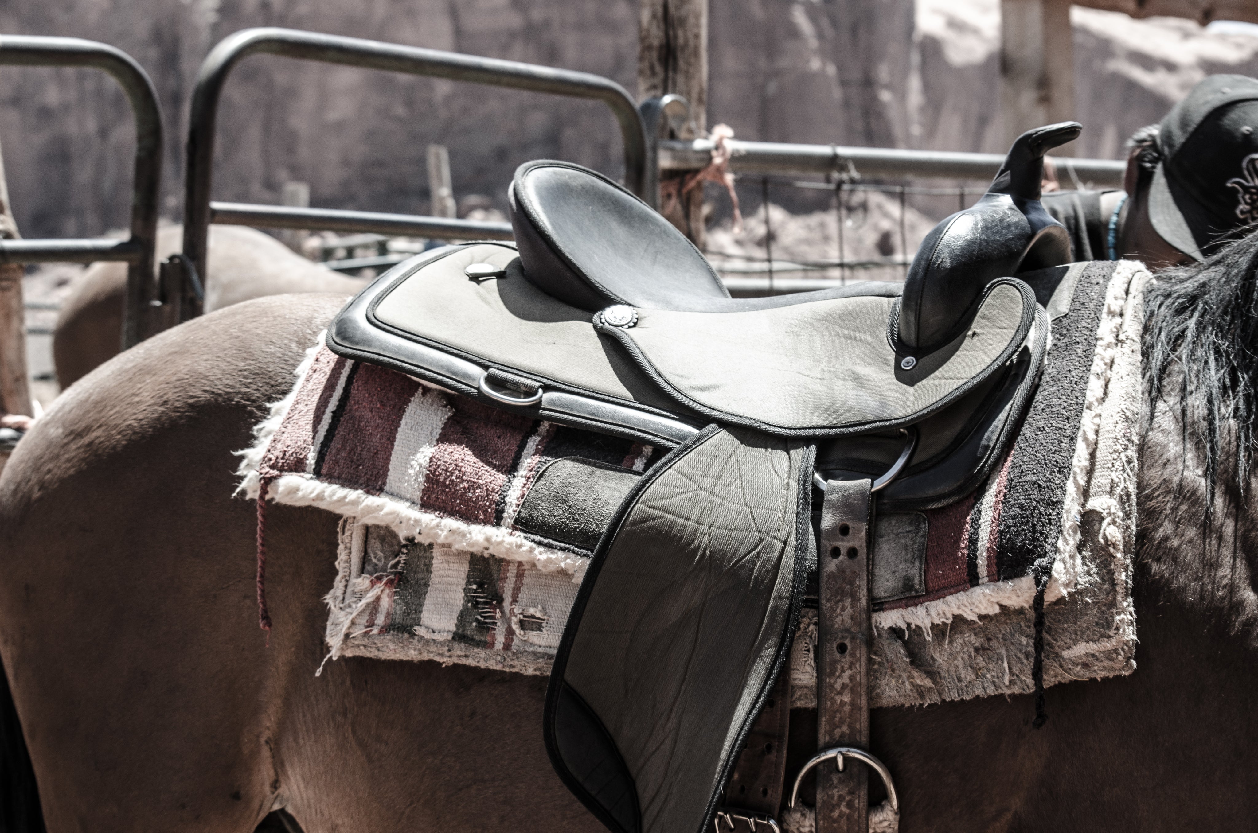 files/saddled-up.jpg